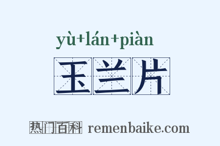 玉兰片是什么意思的图片